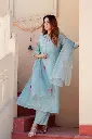 Stylish pastel Blue embroidered Suit set 3.webp