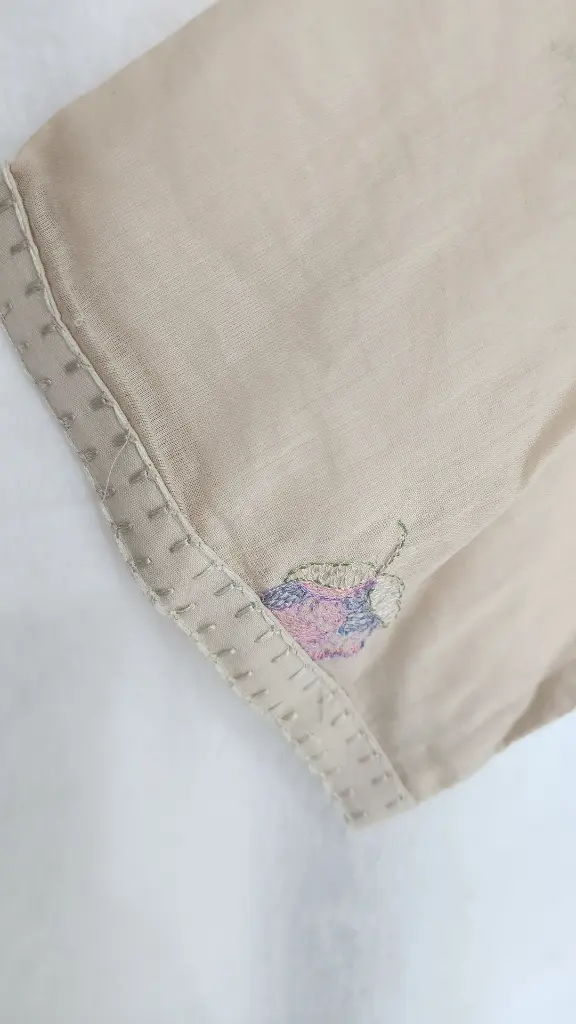 Chiku Beige Kurta Pant Set with light Flower Thread Work3.webp