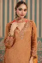 Rust light Brown  Chinnon  3 pc Suit with net with work on pant (2).webp