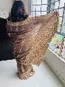 Light Coffee colour organza Saree-Shuddhdesi Sg 3.webp