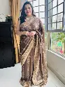Light Coffee colour organza Saree-Shuddhdesi Sg 1.webp