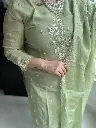 Pista green Full cut dana  hand work 4.webp