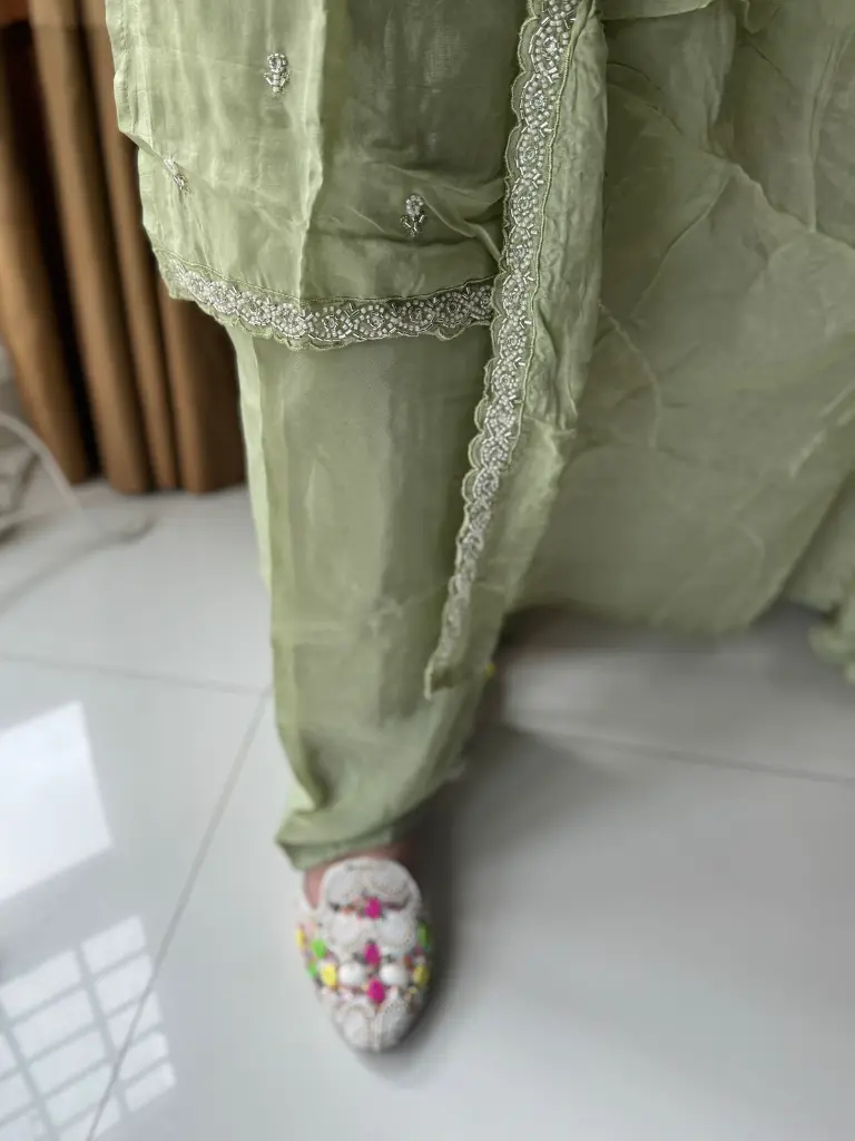 Pista green Full cut dana  hand work 3.webp