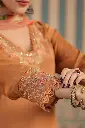 Rust light Brown | Chinnon | 3 pc Suit with net with work on pant (R4172)